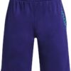 Under Armour Boys' Stunt 3.0 Printed Shorts